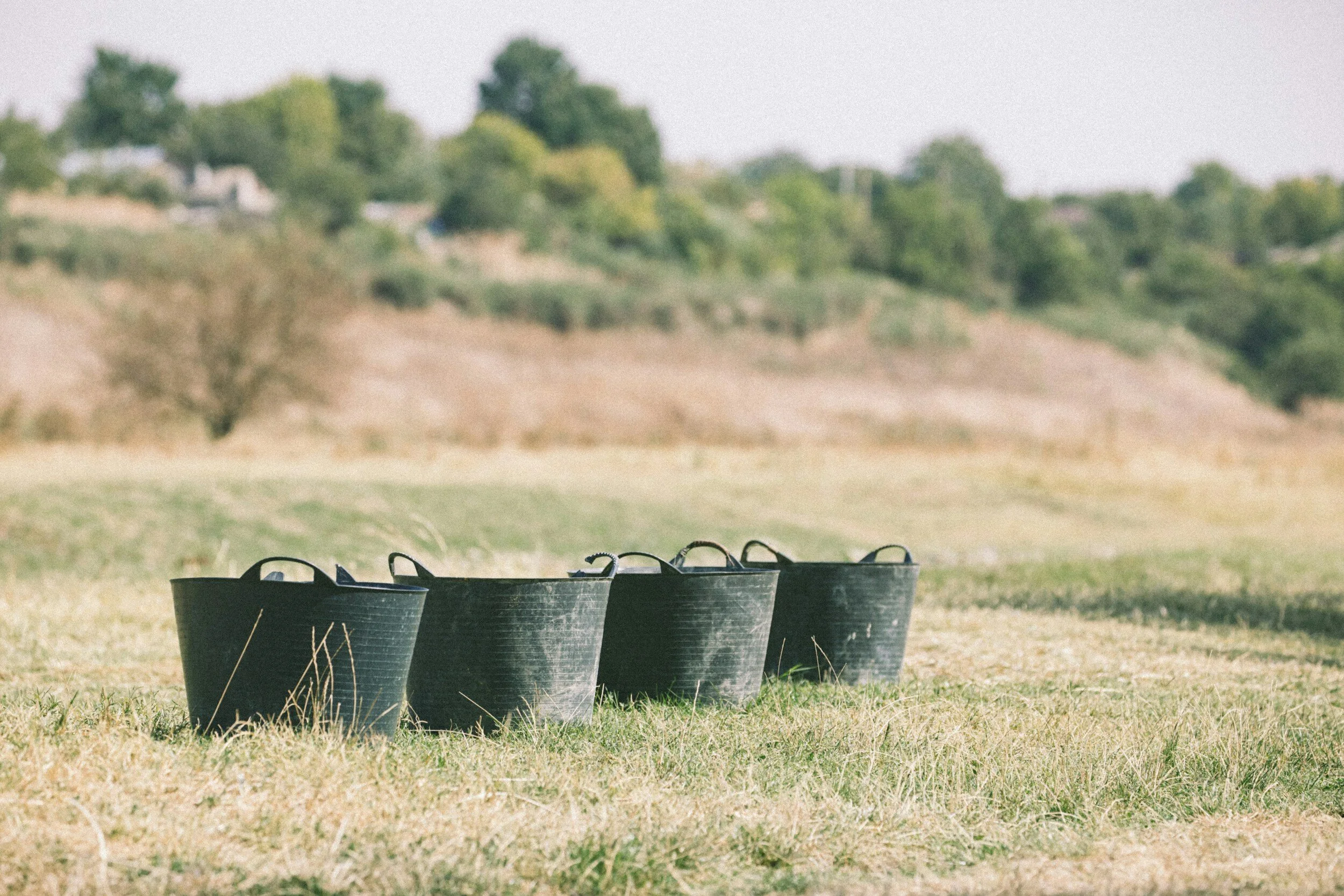 Four black buckets in a row on dry grass with a hill and trees behind