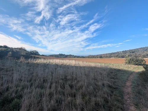 Narrow dirt trail through tall dry grass beside a field under a blue sky with wispy clouds