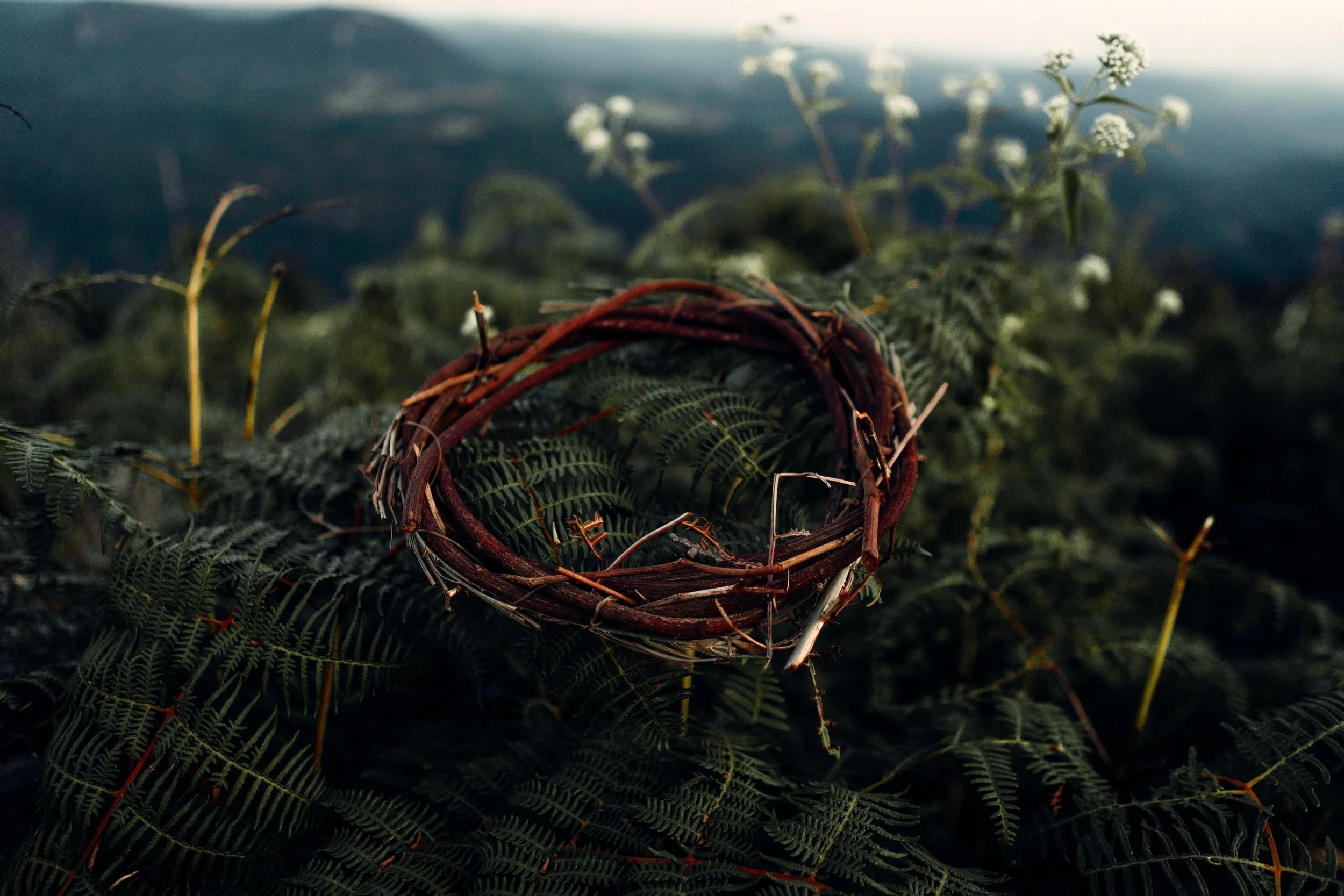 A crown of thorns resting on green ferns with white wildflowers and misty hills behind