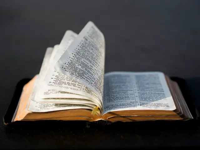 An open Bible with pages fanning upward, lit by sunlight against a dark background