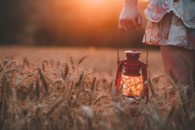 A person in a floral dress holds a glowing red lantern in a wheat field at sunset